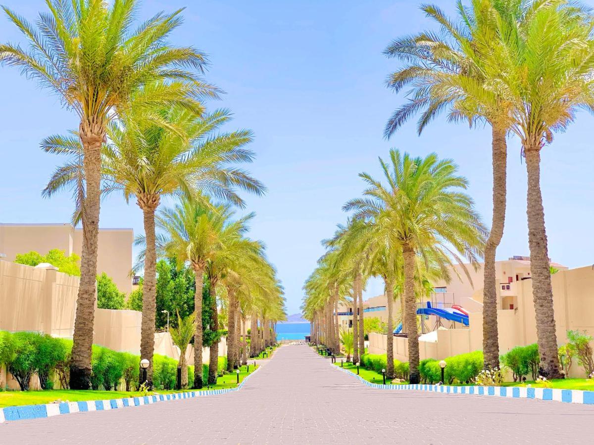 Ivy Cyrene Island Aqua Park Resort (Adults Only) 沙姆沙伊赫 外观 照片