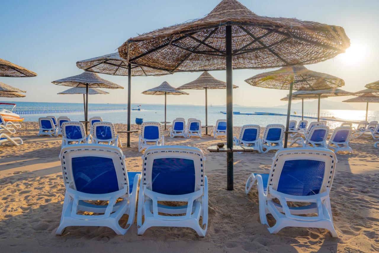 Ivy Cyrene Island Aqua Park Resort (Adults Only) 沙姆沙伊赫 外观 照片